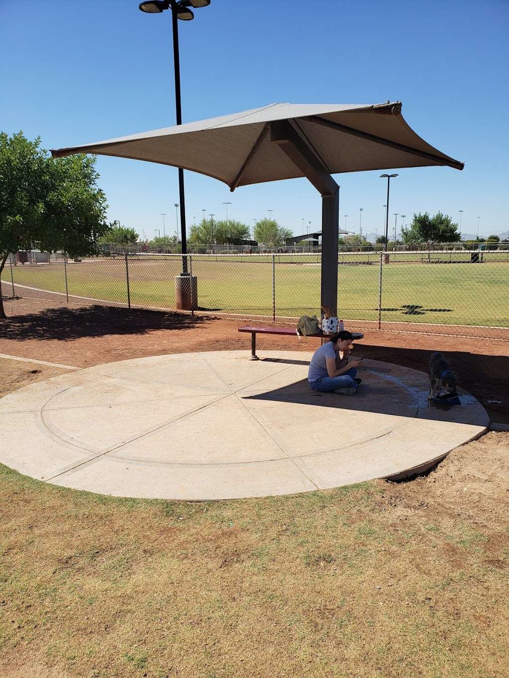 Pioneer Community Dog Park | 8755 N 83rd Ave, Peoria, AZ 85345, USA | Phone: (623) 773-7137