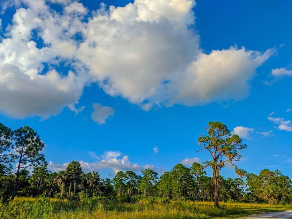 Dupuis Boardwalk & Observation Platform | Florida, USA