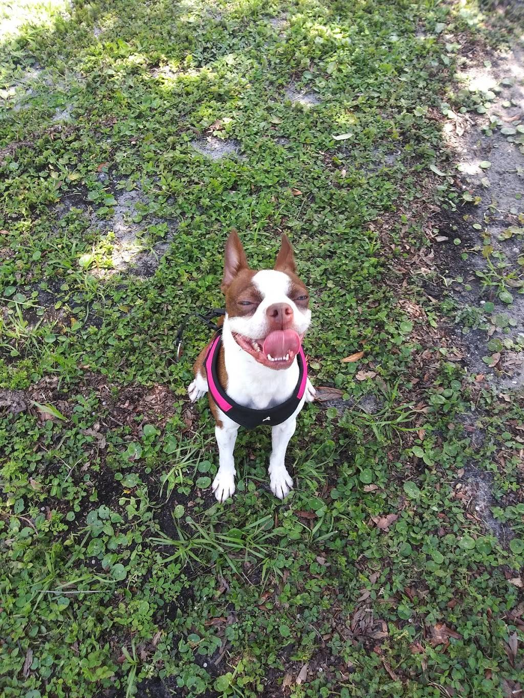 Helen Howarth Dog Park | 6301 94th Ave, Pinellas Park, FL 33782, USA | Phone: (727) 369-0671