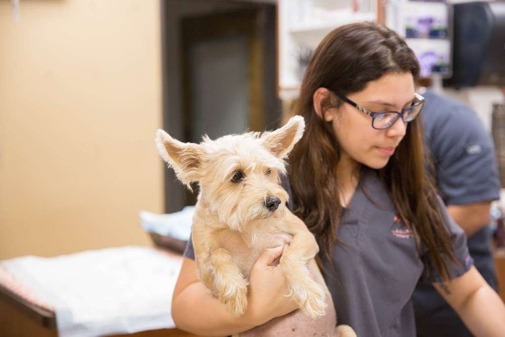 Animal Emergency Clinic NE | 10205 Birchridge Dr, Humble, TX 77338, USA | Phone: (281) 446-4900