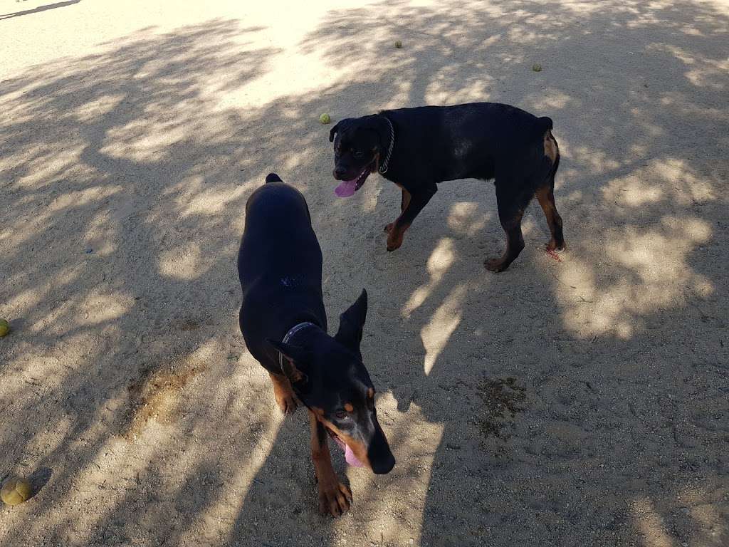 Boneyard Dog Park | Duquesne Ave, Culver City, CA 90230, USA | Phone: (310) 390-9114