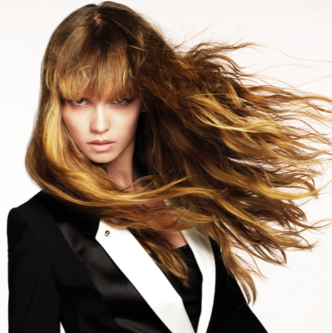 House of Hair | 1843 Miami Gardens Dr, North Miami Beach, FL 33179, USA | Phone: (305) 932-8251