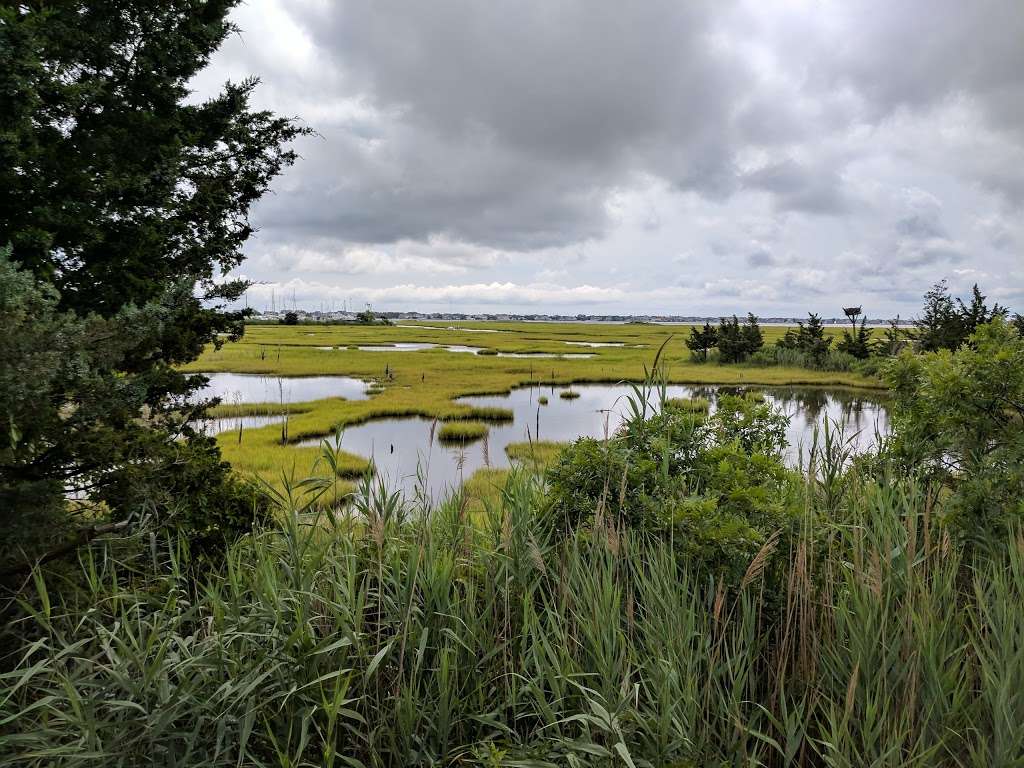 Swan Point State Natural Area | Brick, NJ 08723, USA