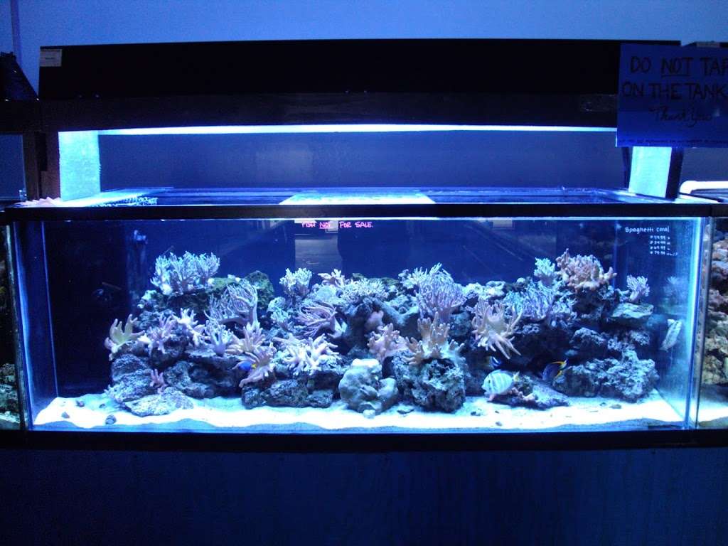 Hamilton Technology Aquarium Supplies | 14900 S Figueroa St, Gardena, CA 90248, USA | Phone: (800) 447-9797