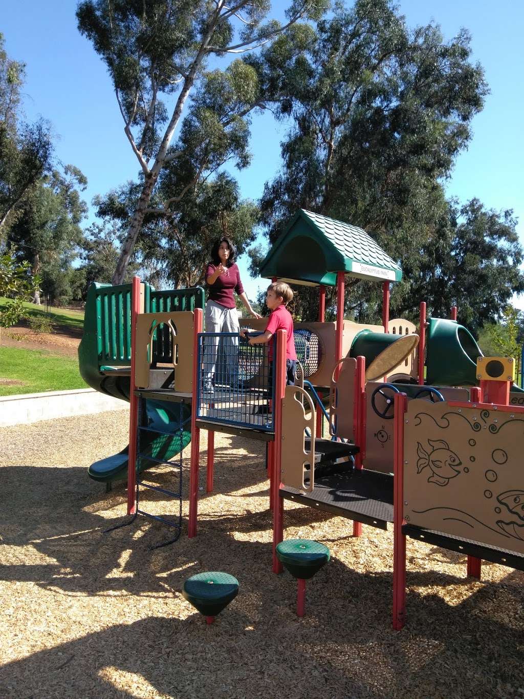 Eucalyptus County Park | 9125 Edgewood Dr, La Mesa, CA 91941, USA | Phone: (858) 565-3600