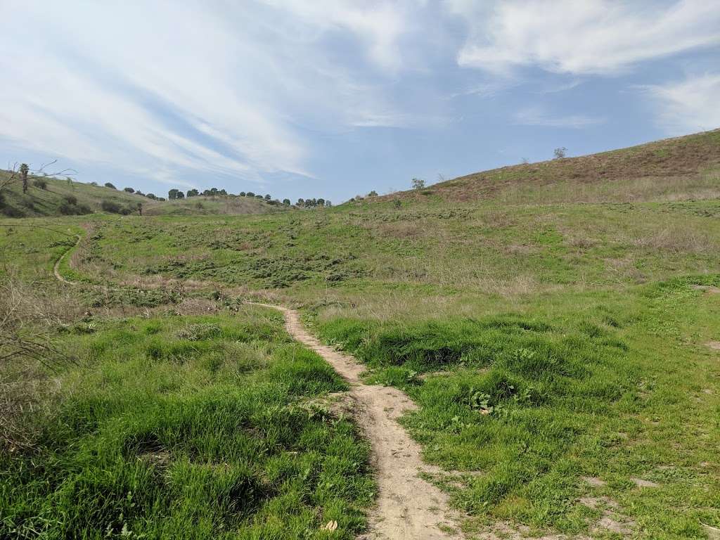 Arroyo Trabuco Trail - ONiell Regional Park | Trabuco Creek Rd, Ladera Ranch, CA 92694, USA | Phone: (949) 923-2260