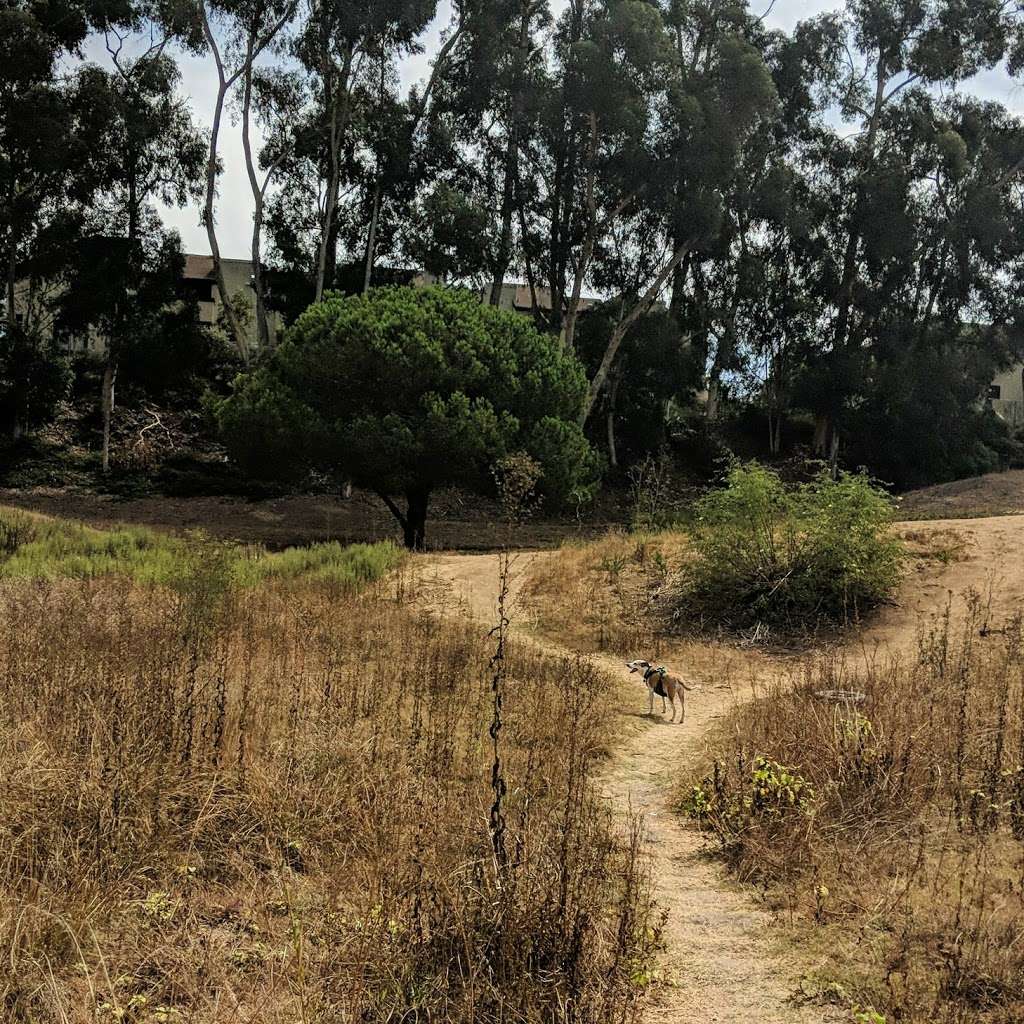 Kiddies Dirt Jumps Freeride Bike Park | San Diego, CA 92107, USA