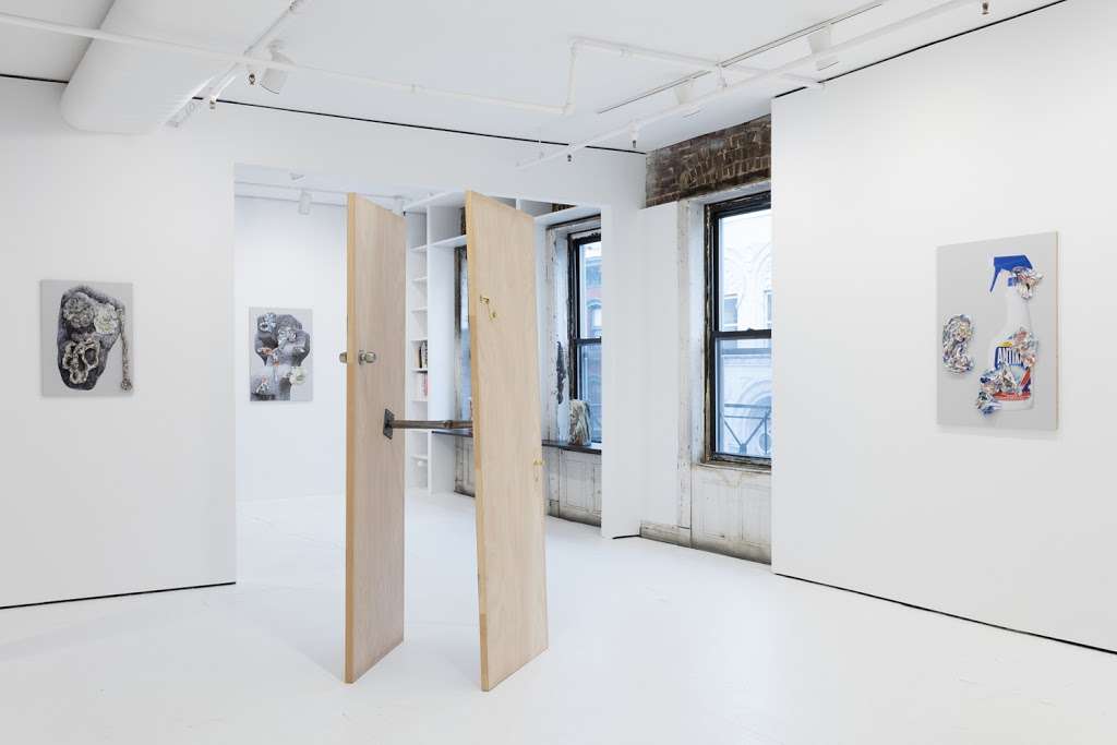 Nathalie Karg Gallery | 291 Grand St, New York, NY 10002, USA | Phone: (212) 563-7821