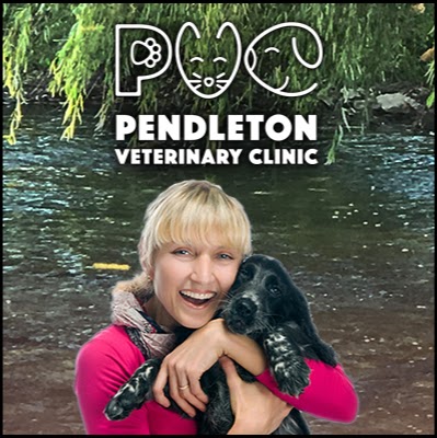 Pendleton Veterinary Clinic | 1011 S Pendleton Ave, Pendleton, IN 46064, USA | Phone: (765) 778-2909