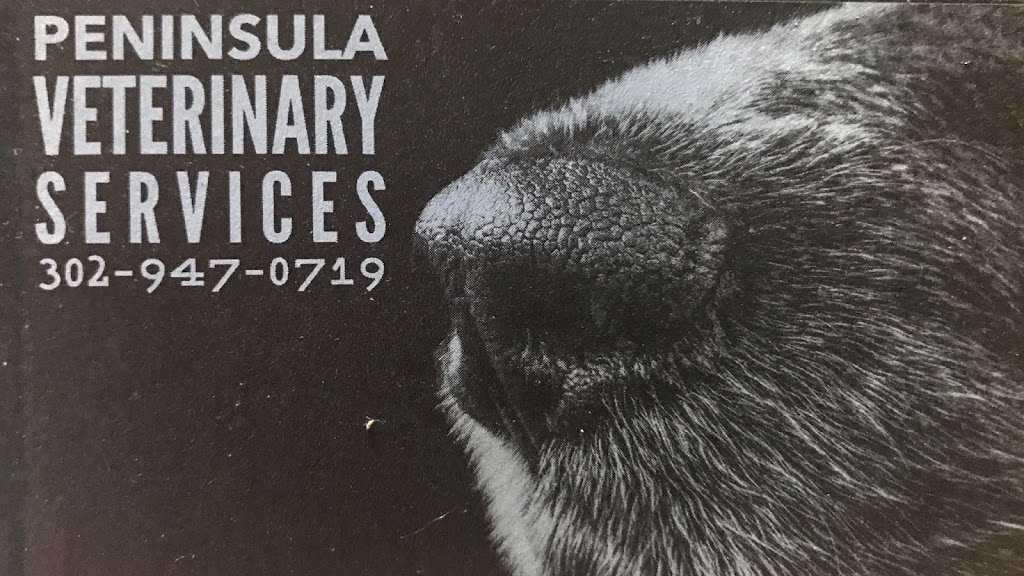 Peninsula Veterinary Services | 32038 Long Neck Rd, Millsboro, DE 19966, USA | Phone: (302) 947-0719