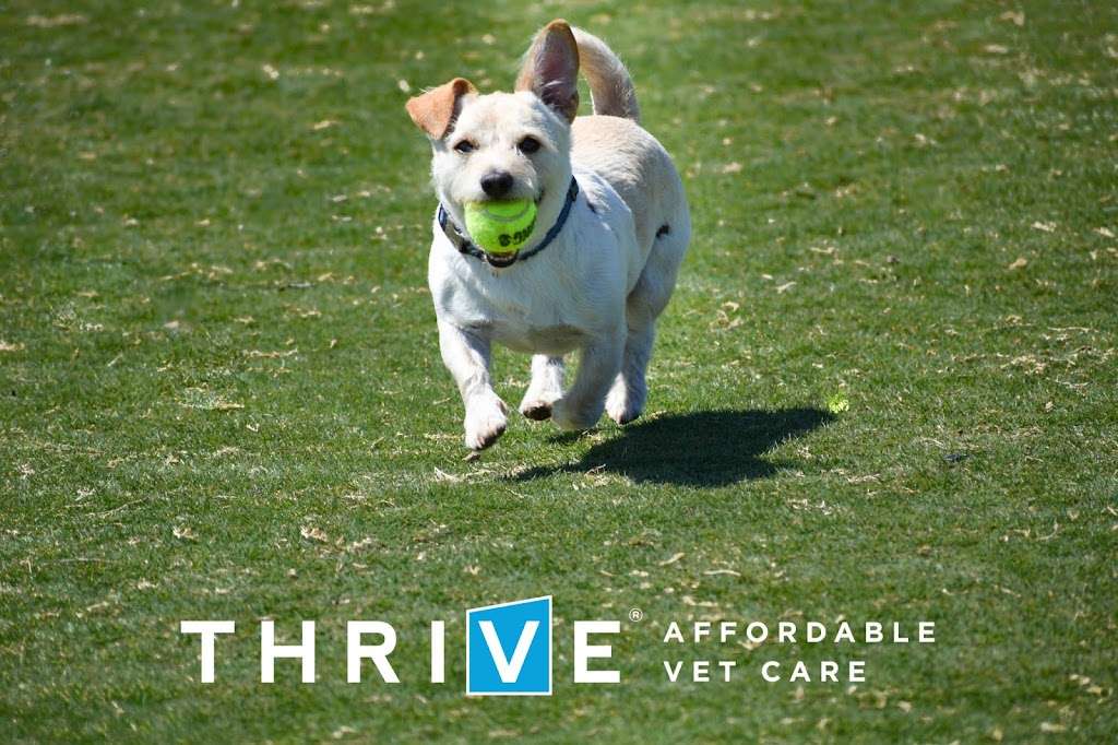 THRIVE Affordable Vet Care | 10245 North Fwy Suite 150, Houston, TX 77037, USA | Phone: (832) 648-2875
