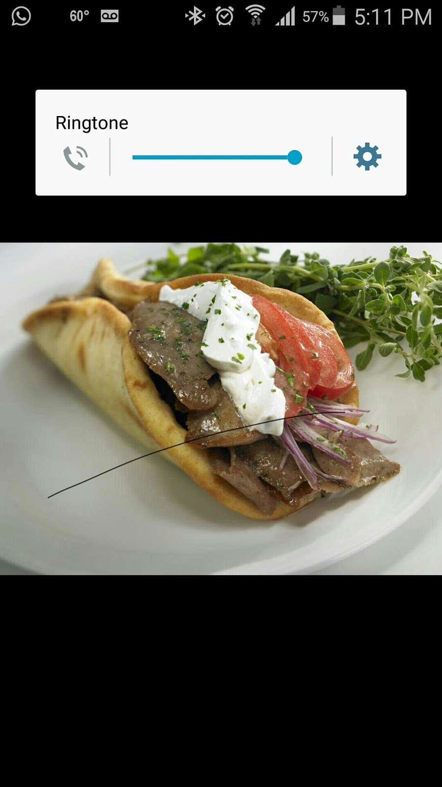 chicago fish and chicken gyro | 9942 E Washington St, Indianapolis, IN 46229, USA | Phone: (317) 744-9311