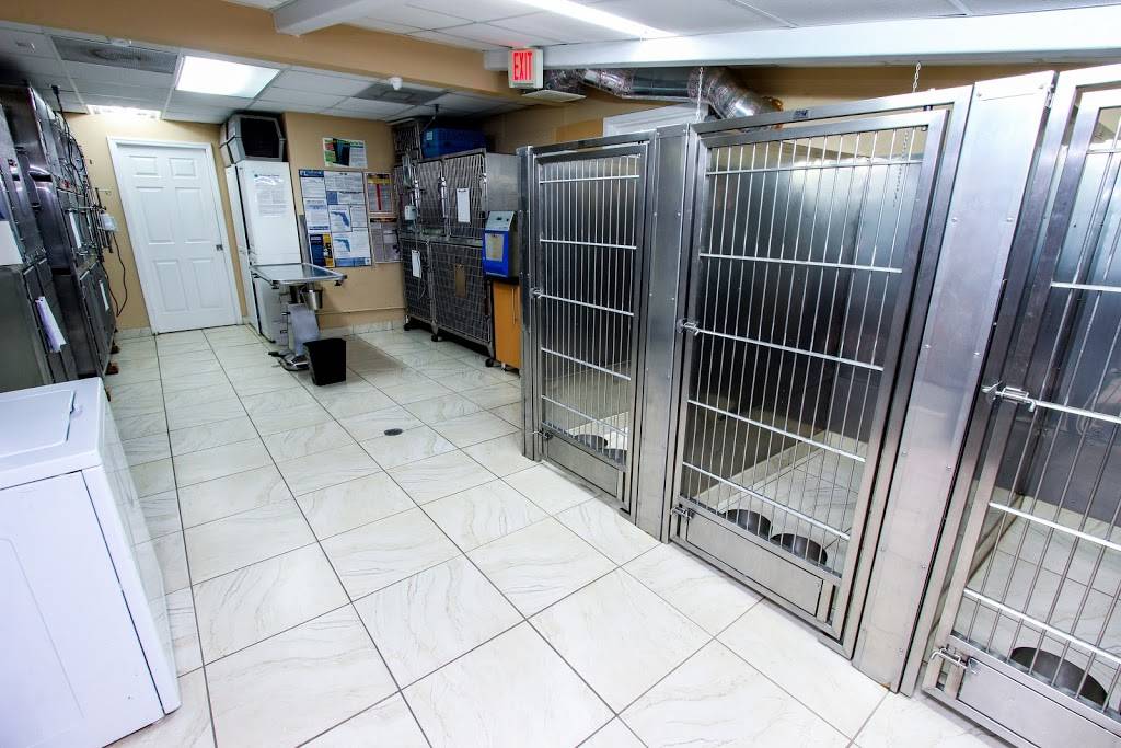 Animal Care and Surgical Hospital | 8376 SW 8th St, Miami, FL 33144, USA | Phone: (305) 264-8644