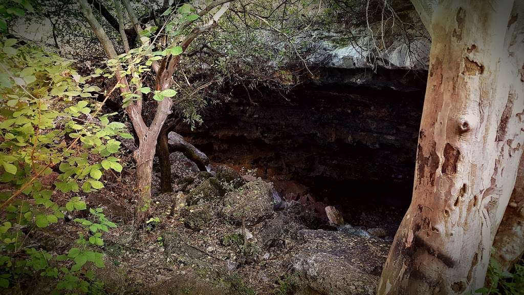 Bear Cave | Autumn Leaves, San Antonio, TX 78258, USA