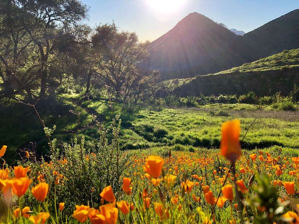 Valley View Preserve Lucis Trailhead | Shelf Rd, Ojai, CA 93023, USA | Phone: (805) 649-6852