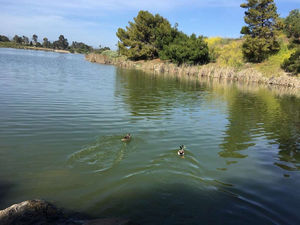 Lake Cunningham Regional Park | 2305 S White Rd, San Jose, CA 95148, USA | Phone: (408) 794-7574