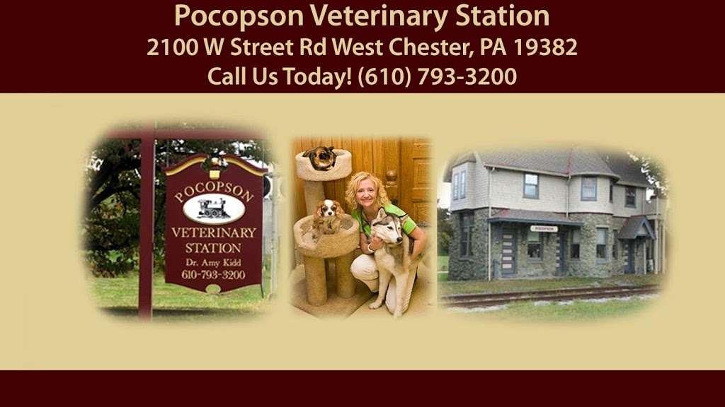 Pocopson Veterinary Station PC | 2100 W Street Rd, West Chester, PA 19382, USA | Phone: (610) 793-3200