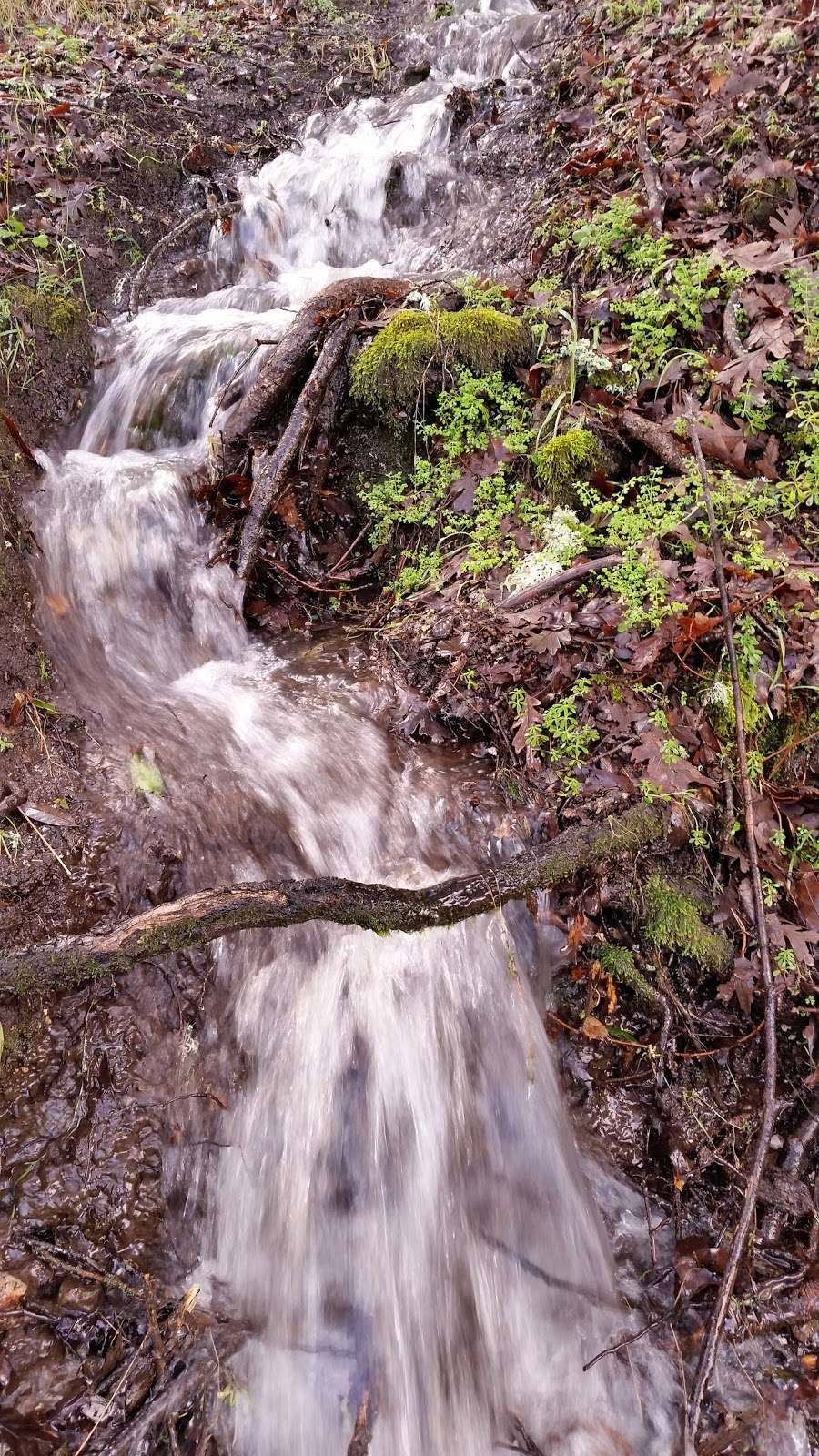 North Sonoma Mountain Regional Park | 5297 Sonoma Mountain Rd, Santa Rosa, CA 95404, USA | Phone: (707) 565-2041