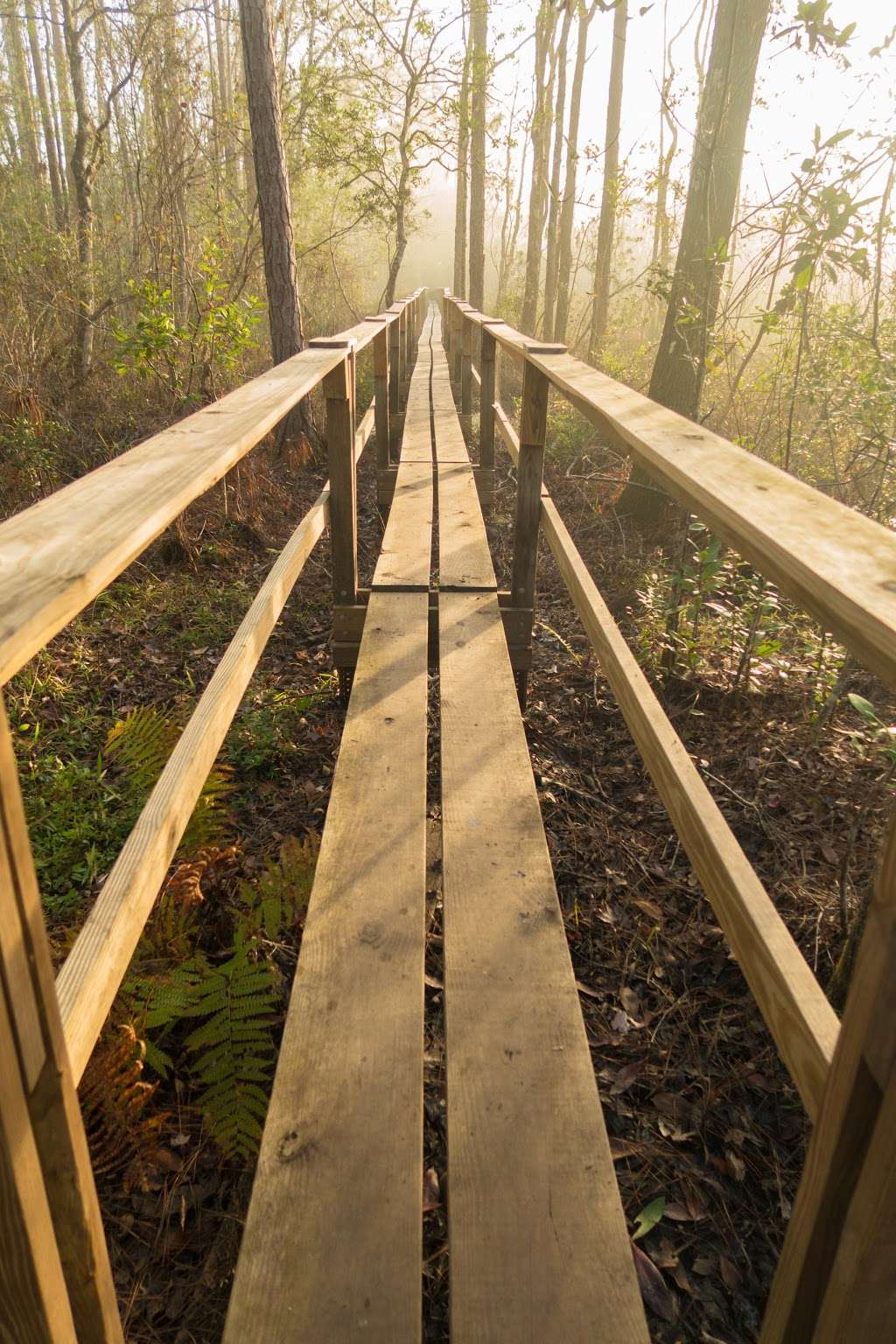 Trailhead for Flagler/Florida Trail | Flagler Trail, Oviedo, FL 32765, USA