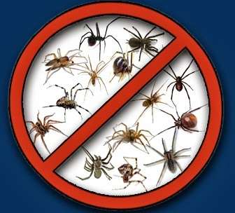 Oviedo Pest Control | 801 Eyrie Dr, Oviedo, FL 32765, USA | Phone: (407) 545-6770