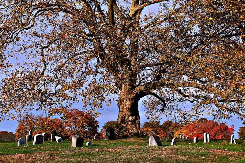 Green-Wood Cemetery | 500 25th St, Brooklyn, NY 11232, USA | Phone: (718) 768-7300