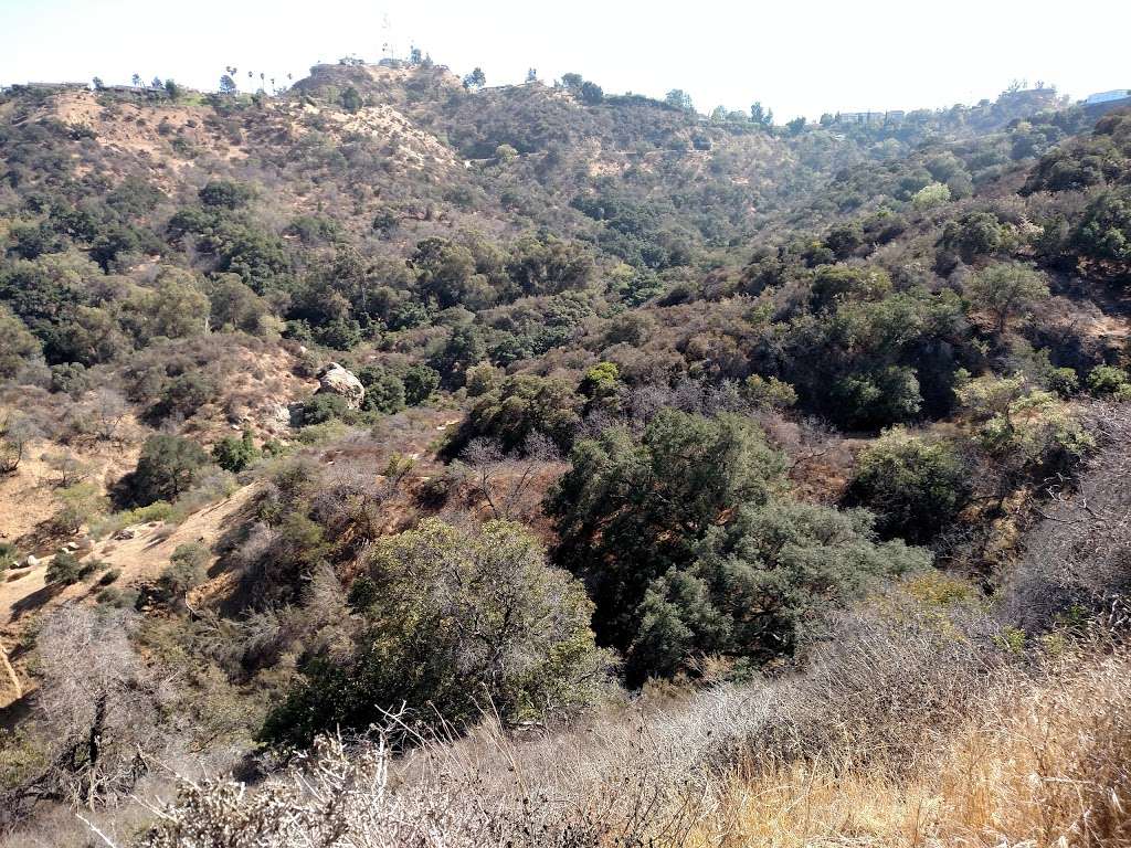 Fryman Canyon Park | 8401 Mulholland Dr, Studio City, CA 91604, USA | Phone: (310) 456-7049