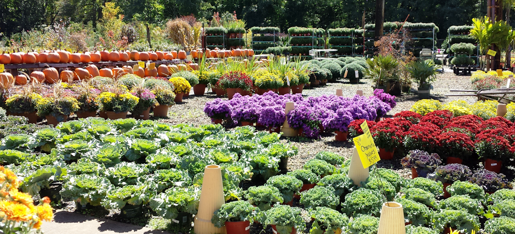 Brock Farms Home & Garden World | 4189 U.S. 9, Freehold, NJ 07728, USA | Phone: (732) 462-2700