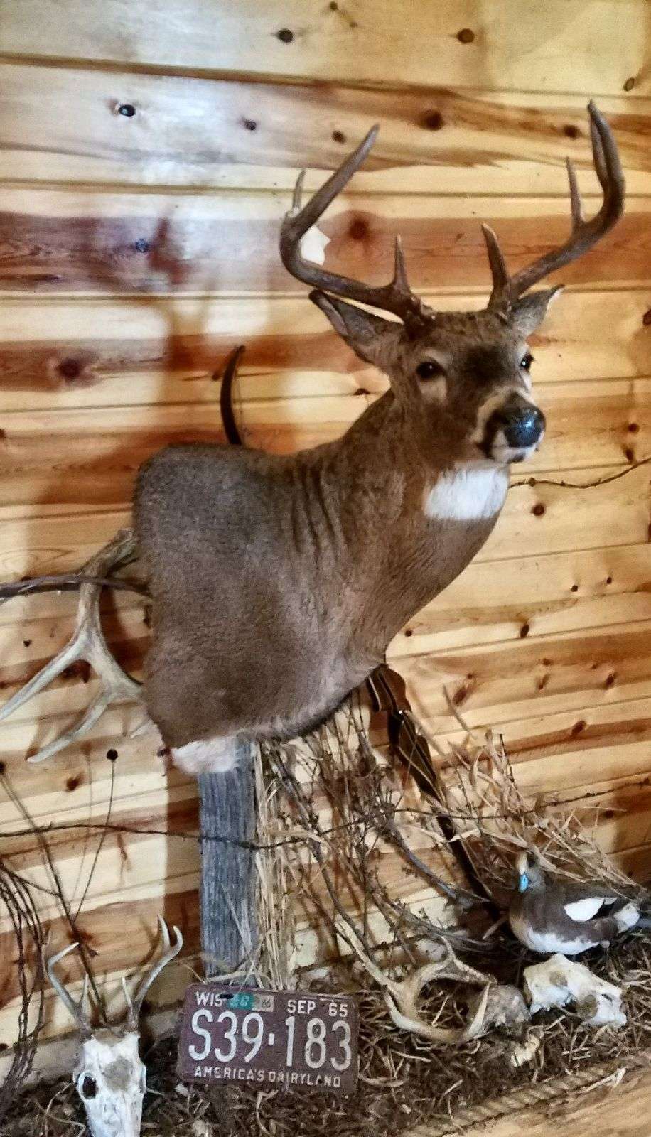 tomlinson taxidermy | W346S3022 Holland Ct, Oconomowoc, WI 53066, USA | Phone: (262) 470-2100