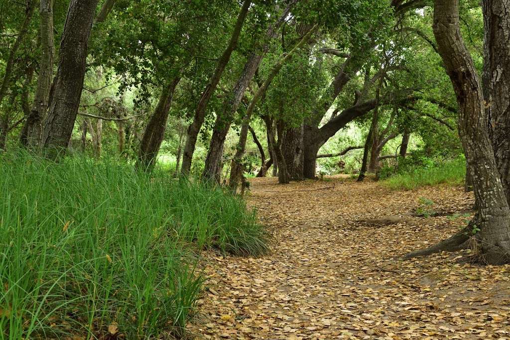 Penasquitos Canyon trail-head (south-east) | Los Penasquitos Canyon Trail, San Diego, CA 92129, USA | Phone: (858) 538-8000