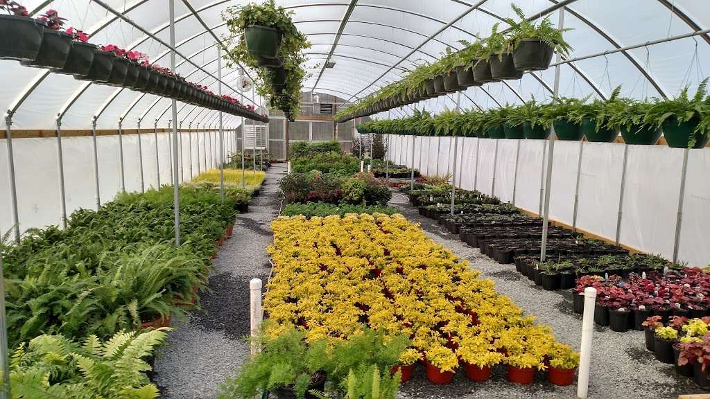 Matthews Greenhouses Inc | 2620 Reeves Island Rd, Richfield, NC 28137, USA | Phone: (704) 279-5464