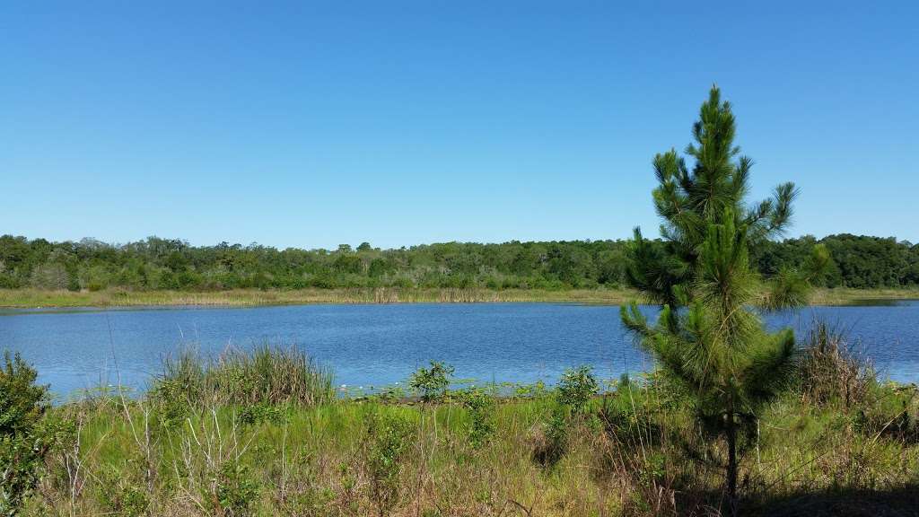 Lake May Reserve | 36300 County Rd 44A, Eustis, FL 32736, USA | Phone: (352) 253-4950