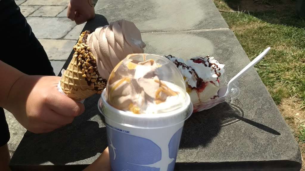 Swirlies Soft-Serve Ice Cream | 9901 Pennsylvania Ave, Manassas, VA 20110, USA | Phone: (703) 361-3830