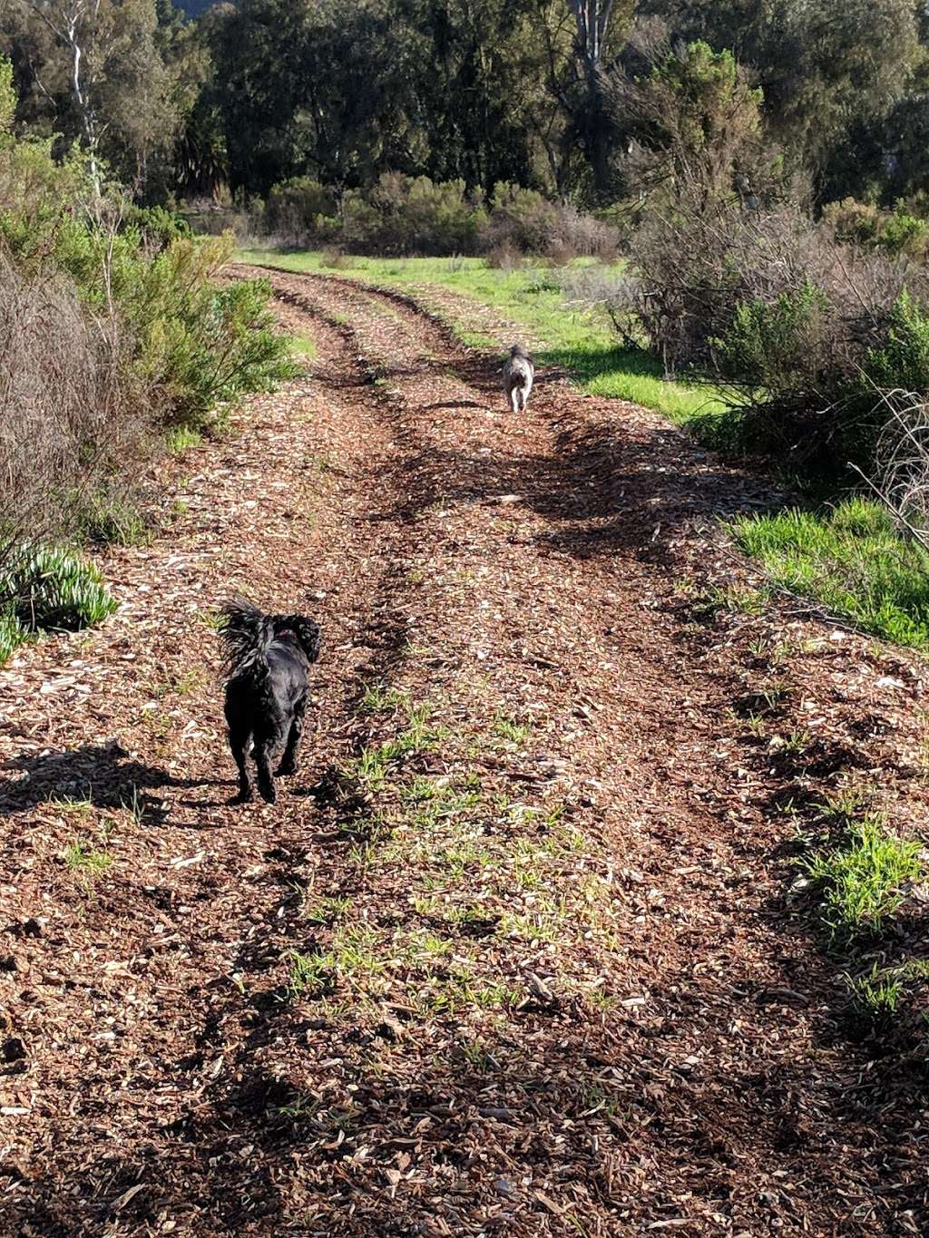 Rancho Santa Fe Field | Rambla De Las Flores, Rancho Santa Fe, CA 92091, USA