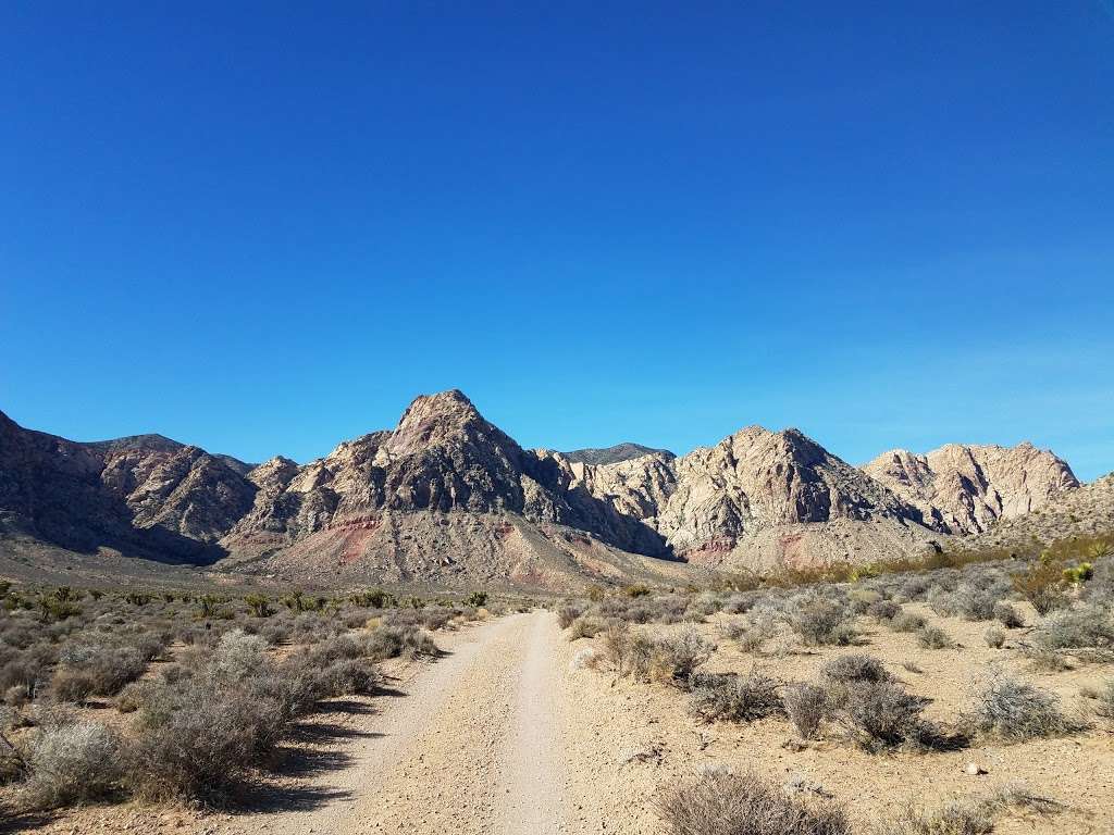 Late Night Trails | Unnamed Rd, Las Vegas, NV 89161, USA