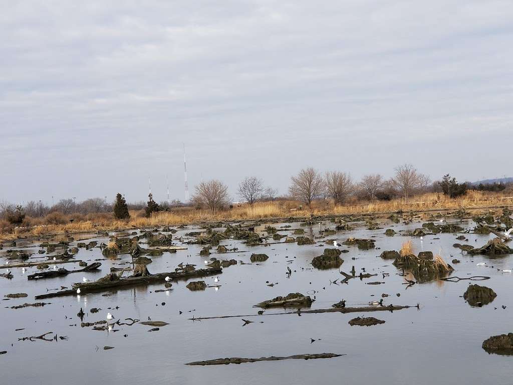 Mill Creek Marsh Trail | Mill Creek Marsh Trail, Secaucus, NJ 07094, USA