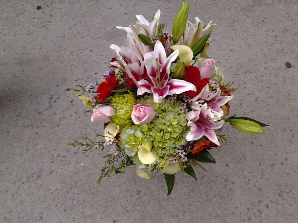 French Florist by Alber | 11920 Chandler Blvd, Valley Village, CA 91607, USA | Phone: (818) 506-1661