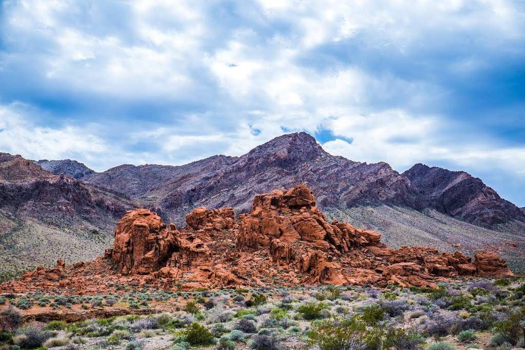 Beehives | Valley of Fire Hwy, Overton, NV 89040, USA
