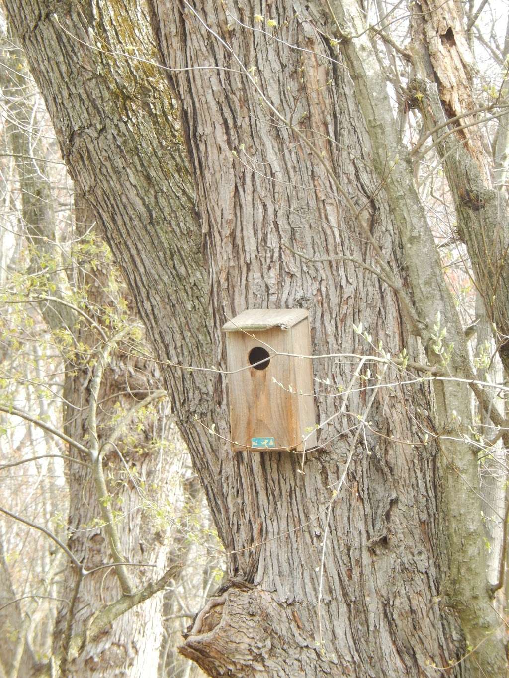 Willow Lake Farm Preserve | W Butler Ave, Ambler, PA 19002, USA