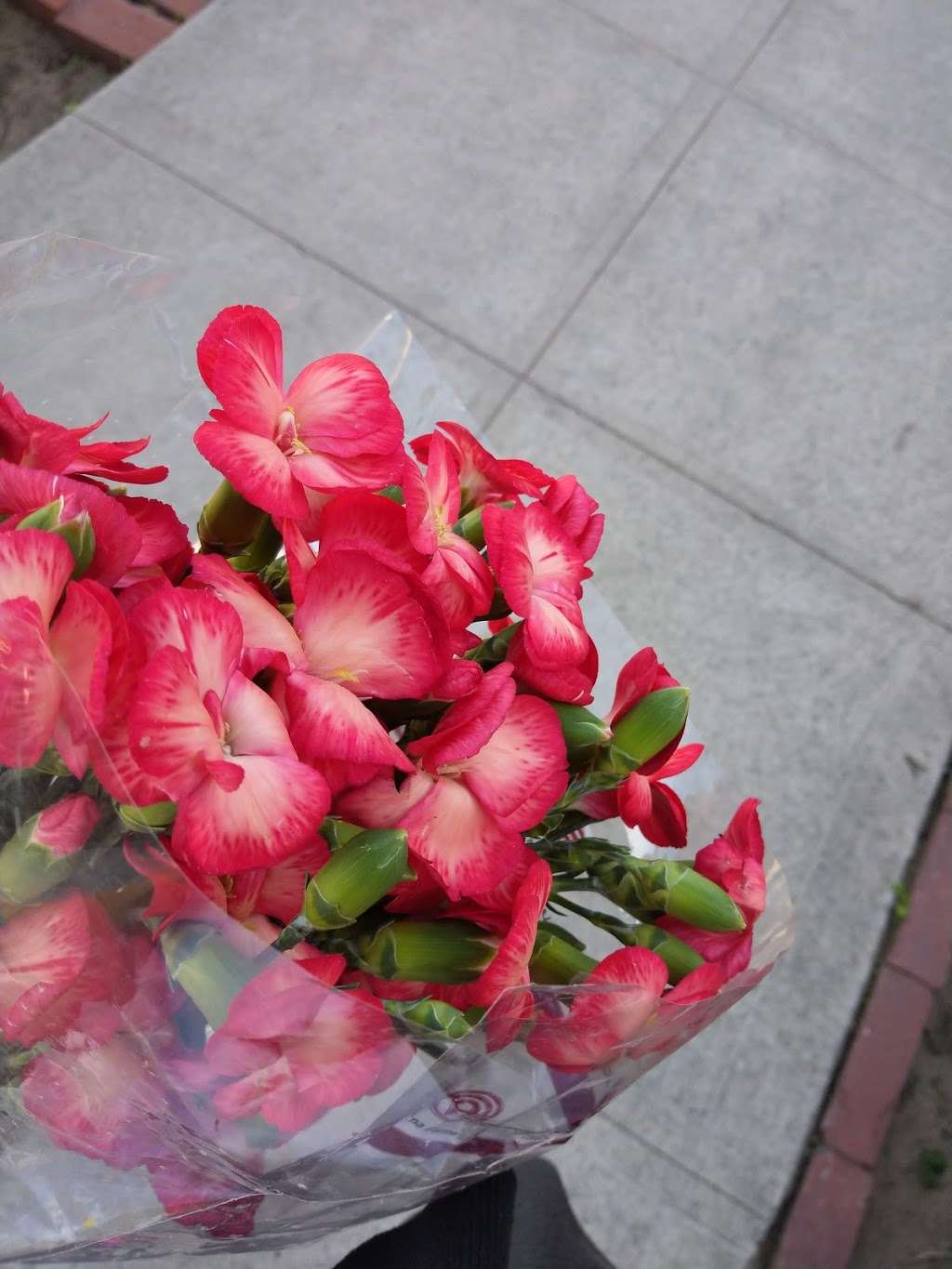 Flowers By Felicia | 8428 Pershing Dr, Playa Del Rey, CA 90293, USA | Phone: (310) 305-1200