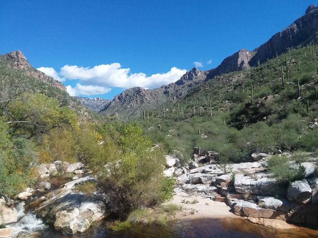 SABINO CANYON RECREATION AREA CACTUS RAMADA 2 | 5700 N Sabino Canyon Rd, Tucson, AZ 85750, USA | Phone: (520) 749-8700