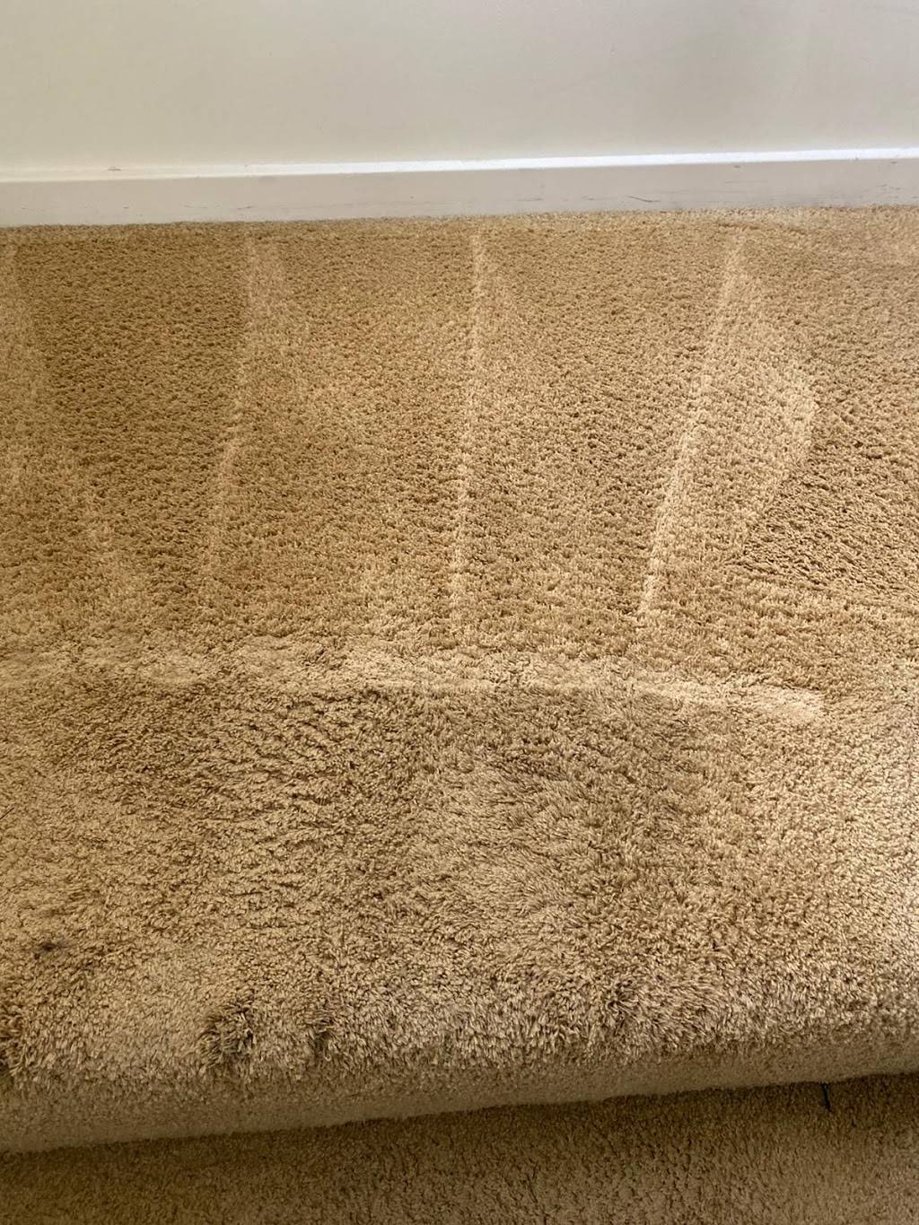 Local Newport Beach Carpet Cleaning | 98 W Balboa Blvd, Newport Beach, CA 92663, USA | Phone: (949) 382-1119