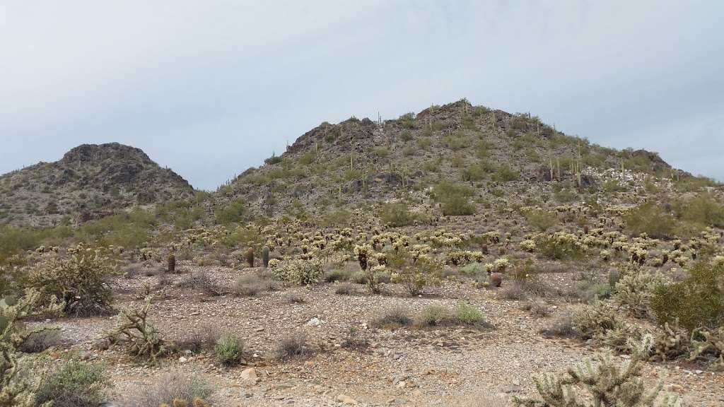 Piestewa Peak Trails | 7200, 7232 N Squaw Peak Dr, Phoenix, AZ 85016, USA | Phone: (602) 495-5458