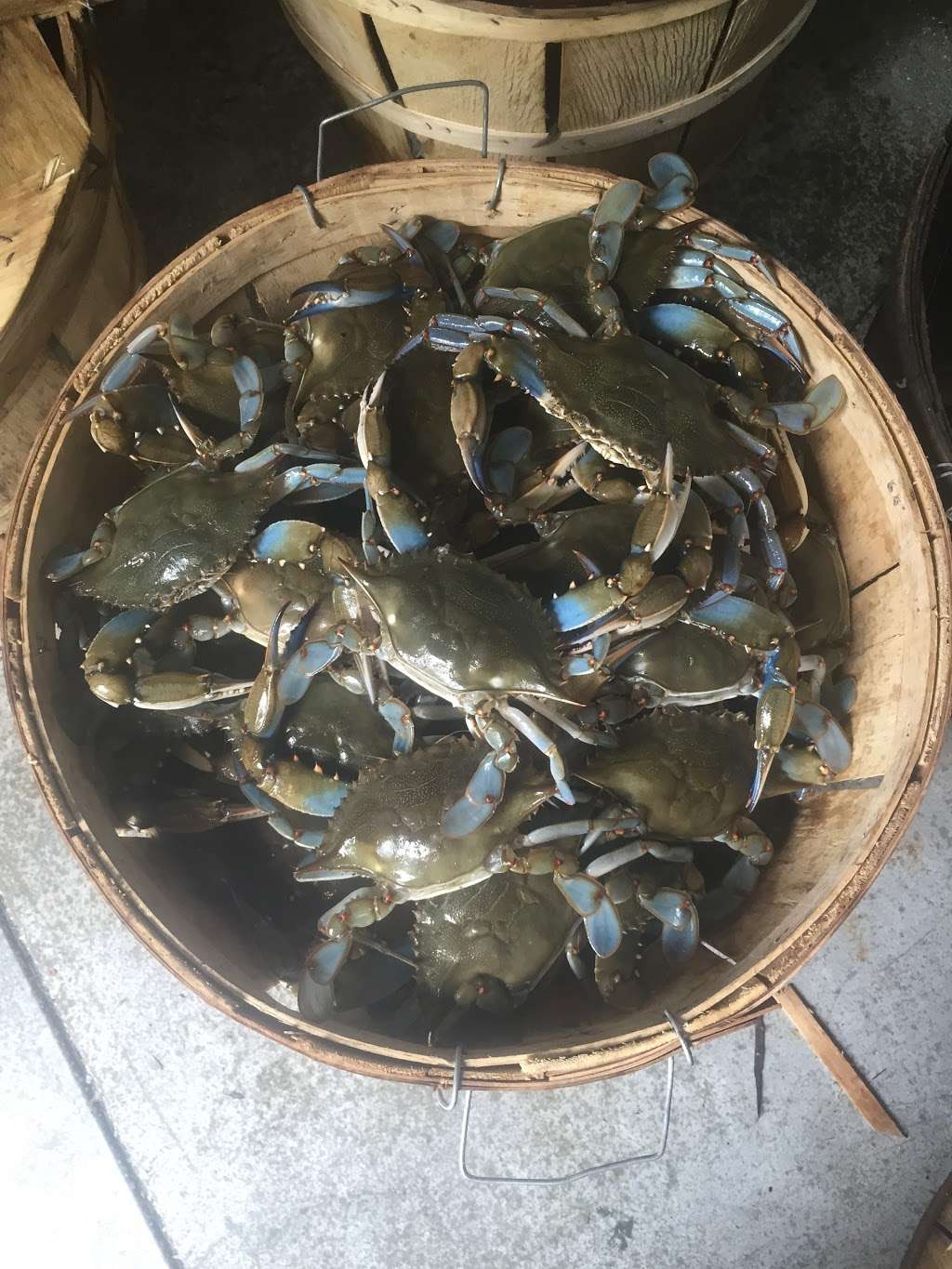 Maryland Crab Boys, LLC | 7158 Brooks Rd, Highland, MD 20777, USA | Phone: (301) 974-7174