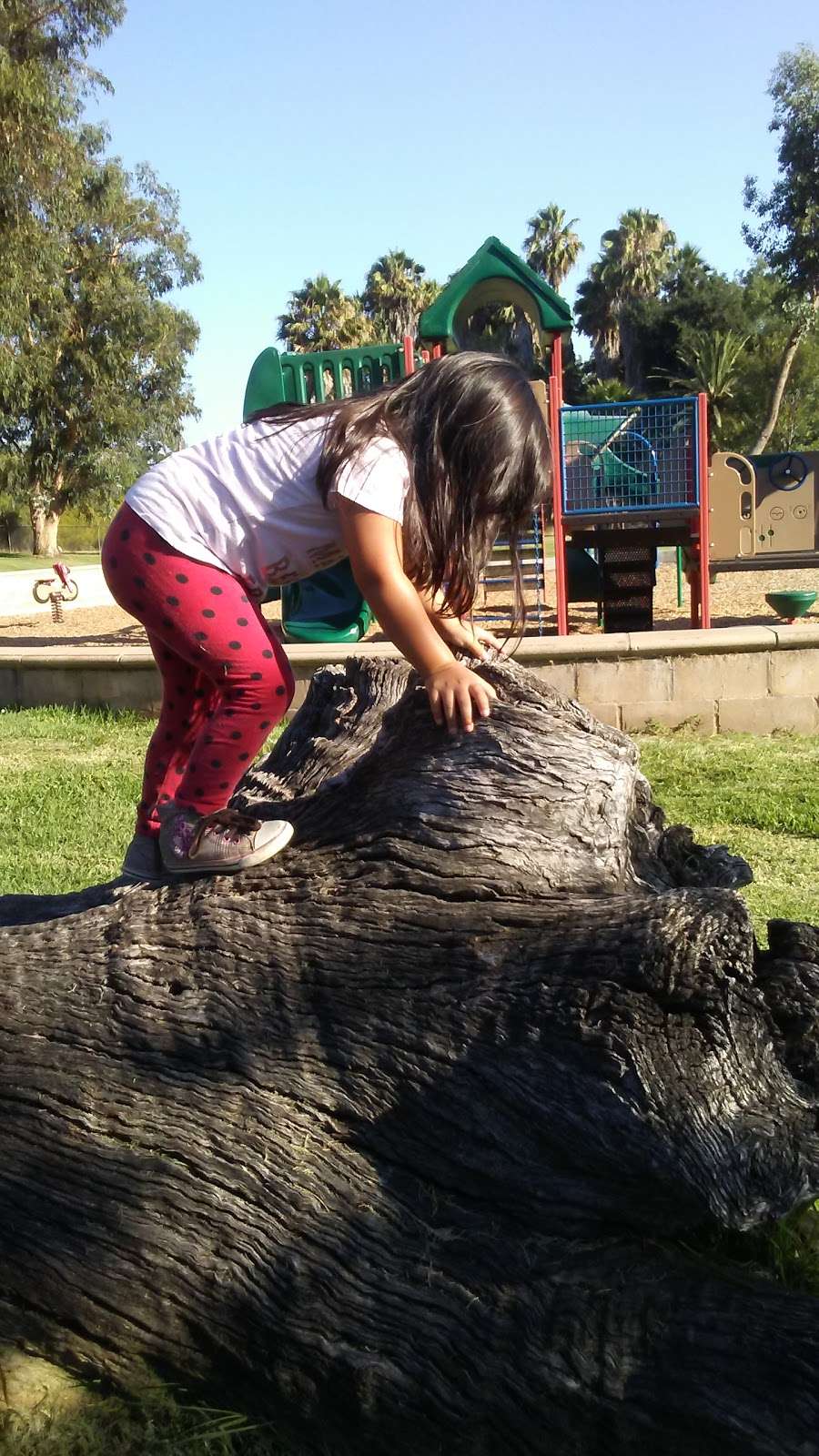 Eucalyptus County Park | 9125 Edgewood Dr, La Mesa, CA 91941, USA | Phone: (858) 565-3600