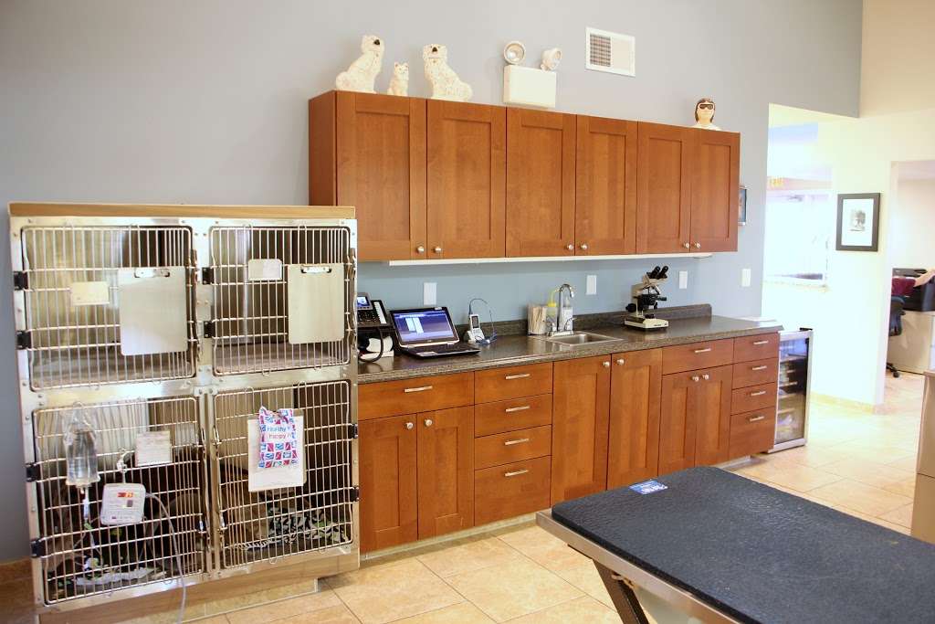 HousePaws Mobile Veterinary Service | 801 Centerton Rd, Mt Laurel, NJ 08054, USA | Phone: (856) 234-5230