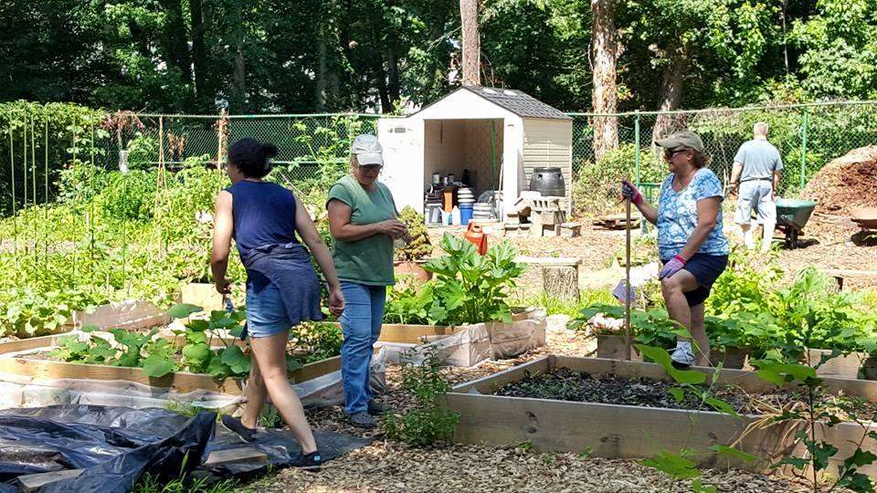 Township of Union Community Garden | Bancroft Ave, Union, NJ 07083, USA