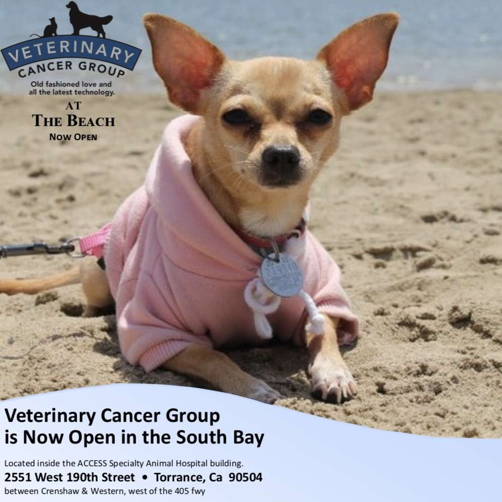 Veterinary Cancer Group of the South Bay | 2551 W 190th St, Torrance, CA 90504, USA | Phone: (310) 693-5890