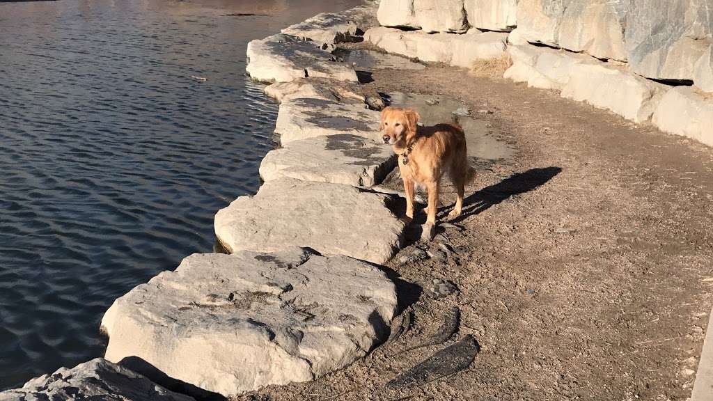 Cherry Creek ​Dog Of​f Leash Area (DOLA) | S Entrance Rd, Aurora, CO 80015, USA | Phone: (303) 690-1166