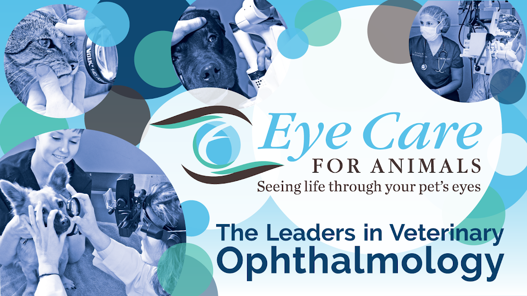 Eye Care for Animals | 722 Baltimore Pike, Bel Air, MD 21014, USA | Phone: (410) 224-4260