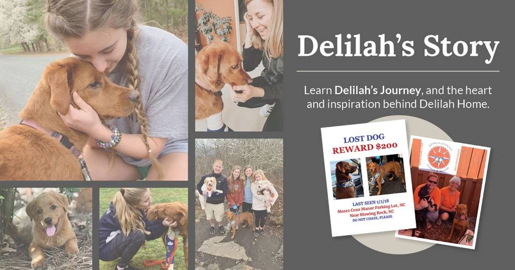 Delilah Home | 220 Reefton Rd, Weddington, NC 28104, USA | Phone: (704) 287-1805